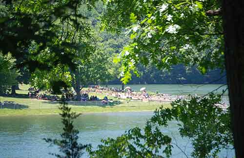 New FairfieldParks